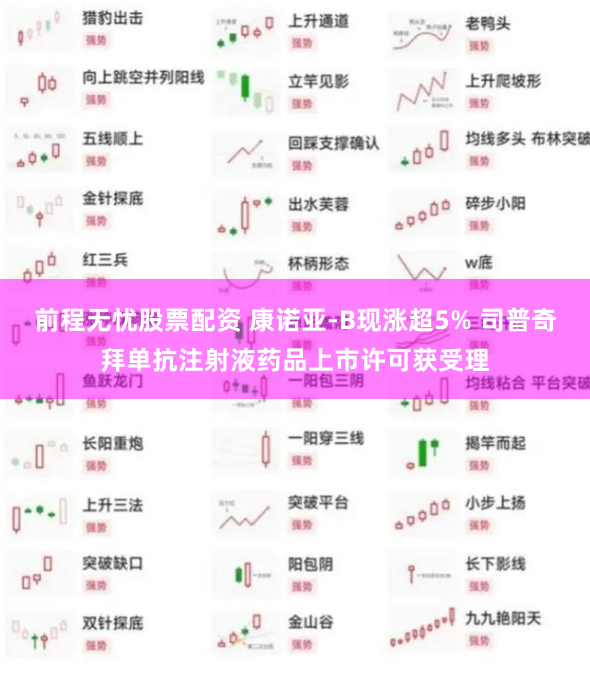 前程无忧股票配资 康诺亚-B现涨超5% 司普奇拜单抗注射液药品上市许可获受理